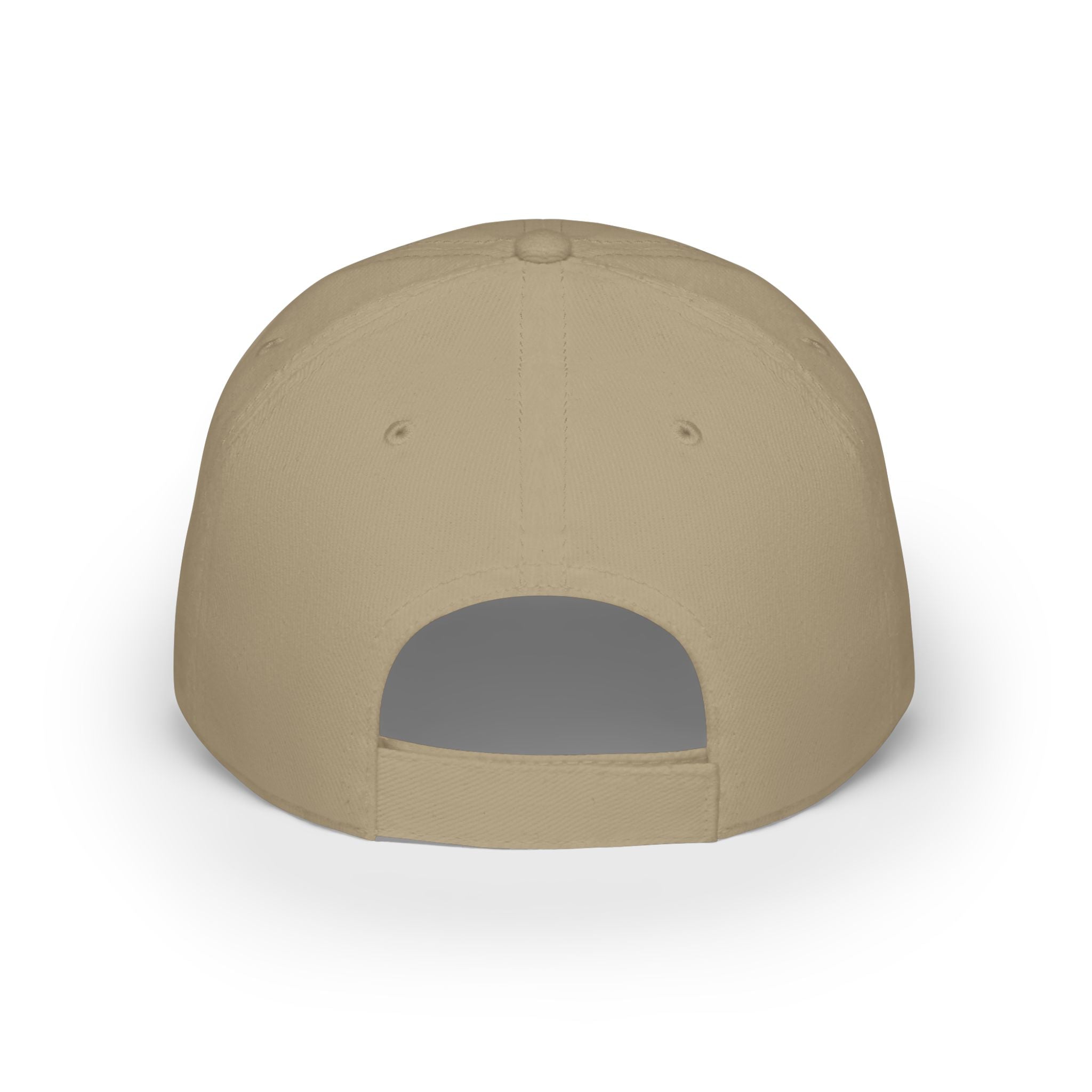 Frogs Resist Portland Frog Protest 2025 Dad Hat
