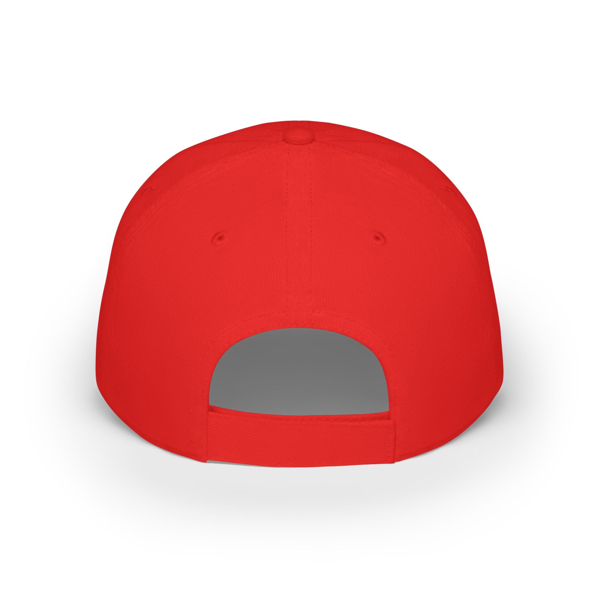 Frogs Resist Portland Frog Protest 2025 Dad Hat