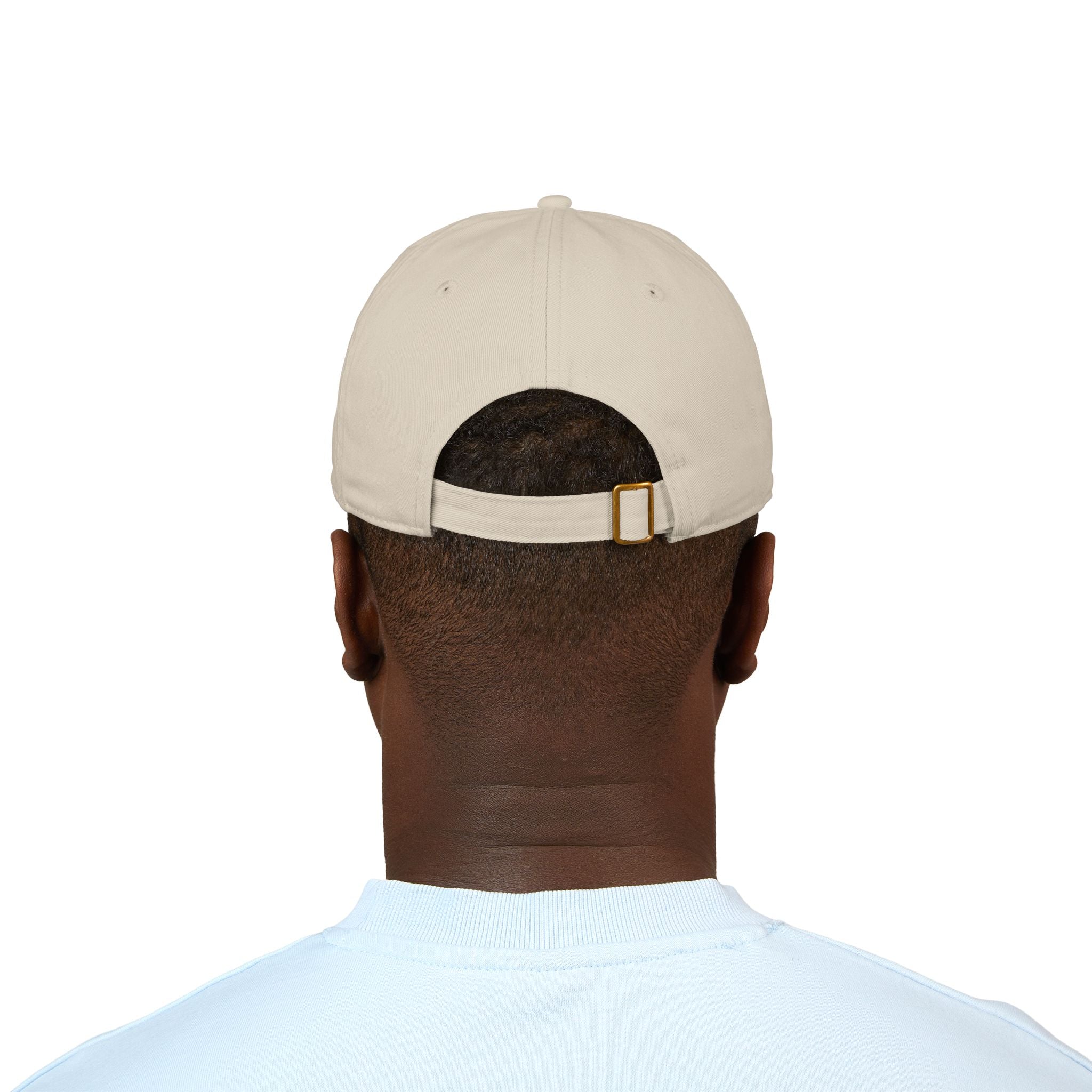 Toronto Blue Jays 2025 World Series Blue Jays MLB Worlds Series Baseball Hat