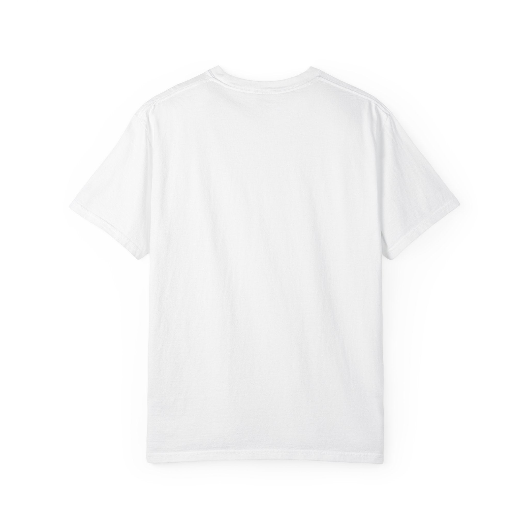 Blue Jays 2025 World Series Champions Toronto Baseball Championship 2025 T-Shirt